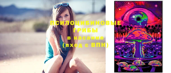 трава Новокубанск