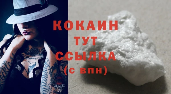 мдпв Новозыбков
