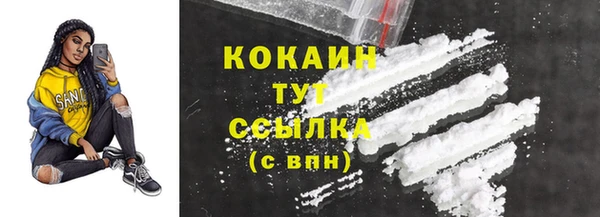 мдпв Новозыбков