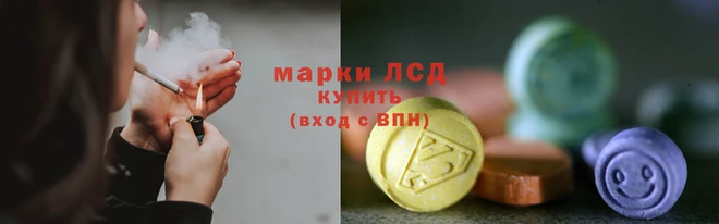 мдпв Новозыбков