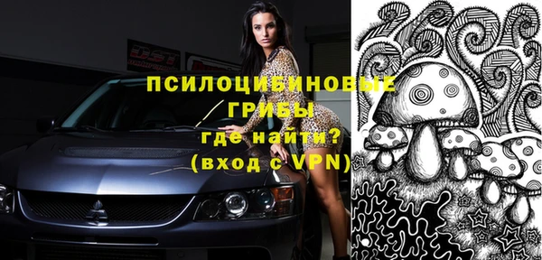 трава Новокубанск