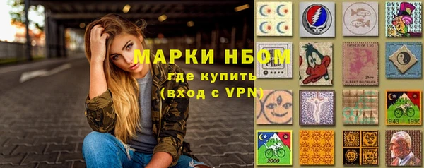 мдпв Новозыбков
